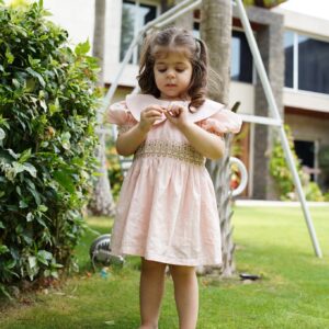 Pink Embroidery Dress