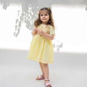 Yellow Embroidery Dress