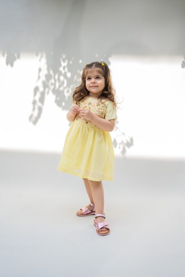 Yellow Embroidery Dress