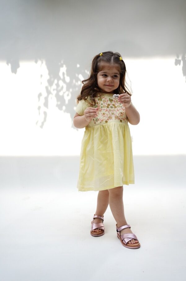 Yellow Embroidery Dress - Image 3